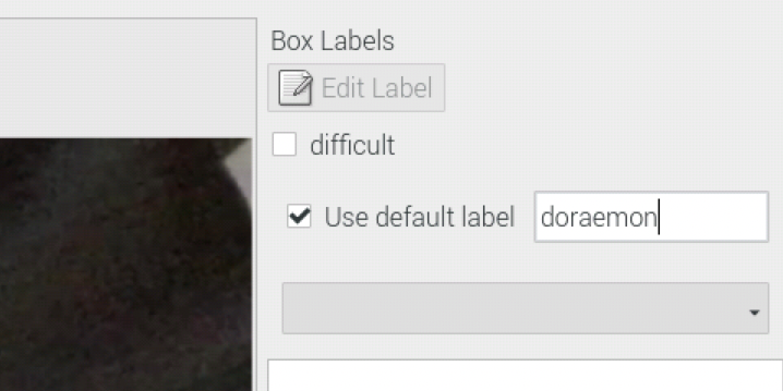 Use default label if you only need to detect one kind of objects